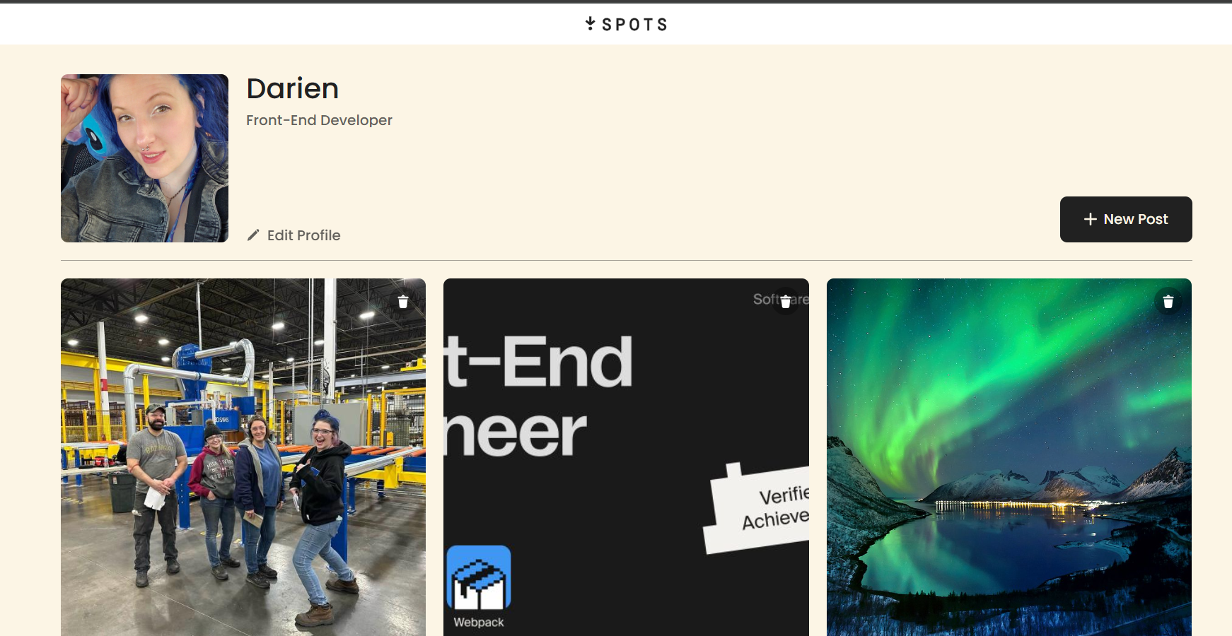 Preview of Spots Platform project